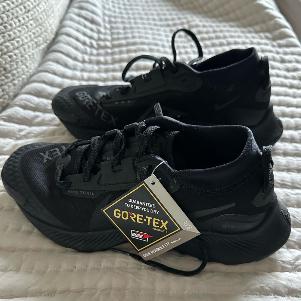 Nike Pegasus Trail Run 3 Goretex